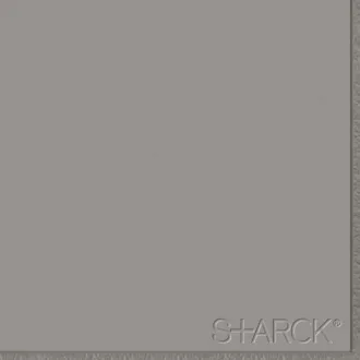 Flexi 2 Logo Grey M