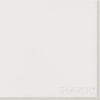 Flexi 2 Logo White B