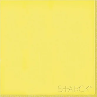 Flexi 2 Logo Yellow B