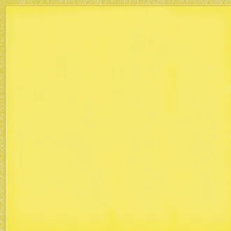 Flexi 2 Yellow Bri