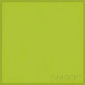 Flexi 4 Logo Green B