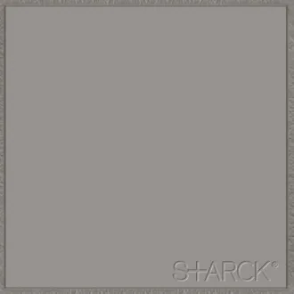 Flexi 4 Logo Grey M