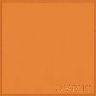 Flexi 4 Logo Orange M