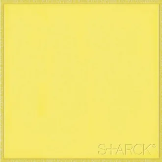 Flexi 4 Logo Yellow B