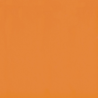Flexi A Orange Mat