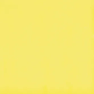 Flexi A Yellow Bri