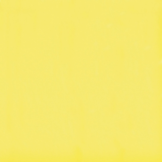 Flexi A Yellow Mat