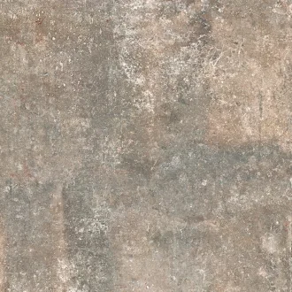Fondo Nocciola 8JF3J61