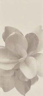 Glam Beige Decoro Camelia
