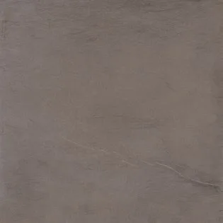 Gray Lapp. Rett g2044a0