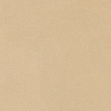 Керамогранит Italon Imagine Beige 60x60 матовый