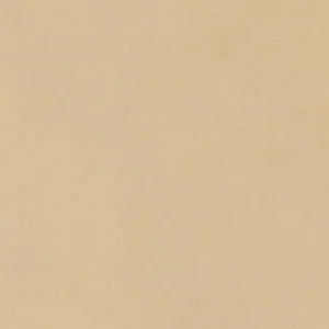 Керамогранит Italon Imagine Beige 60x60 матовый