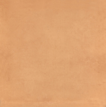 Плитка Kerama Marazzi Капри оранжевый 5238 20x20 глянцевая