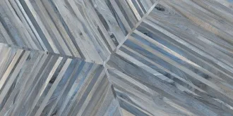 Kauri Tasman Tech Lap Rett 075027