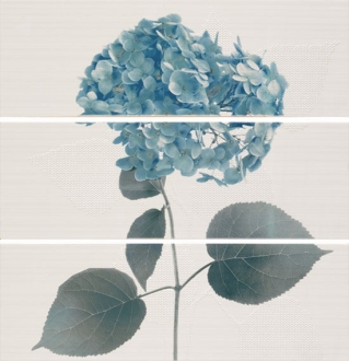 Ligne Decor Set Hortensia