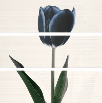 Ligne Decor Set Tulipan Negro