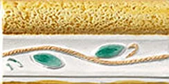 Бордюр Polis List. London Fiore Bianco 5x10 глянцевый
