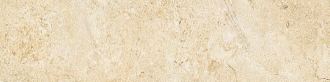 Livingston Gold Battiscopa