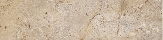 Livingston Taupe Battiscopa