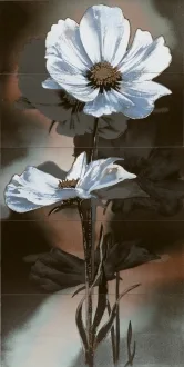 Look Azzuro Fiore Comp 5 Pz.