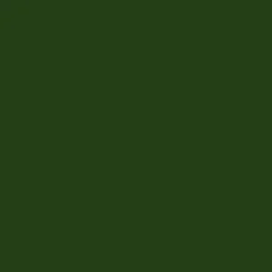 Плитка APE Lord Kingdom Verde 20x20 матовая
