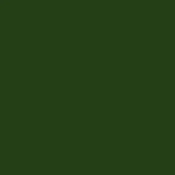 Плитка APE Lord Kingdom Verde 20x20 матовая