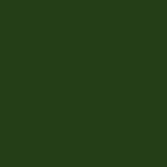 Lord Kingdom Verde Botella