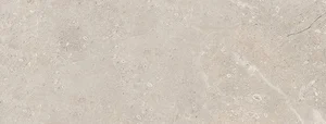 Керамогранит Fanal Lord Perla 118 Nplus 45x118 полированный