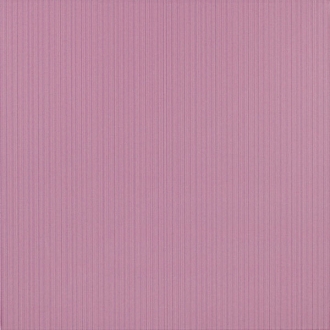 Maxima Purple