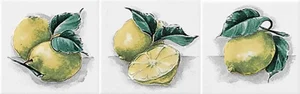 Вставка Polis Neopolis Bianco Lucido Limoni ABC 10x10 глянцевая
