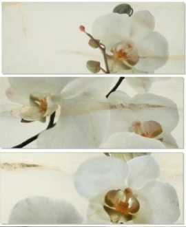 Onice Persa Decor Set Orquidea