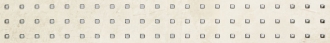 Palacio Beige