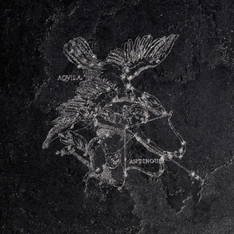 Pietra Lavica Decoro Aquila Gryphea L911