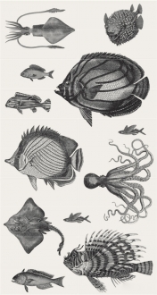 Play Aquarium