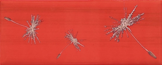 Rich Aster I Rojo