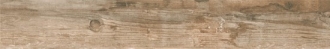 Salvage Brown