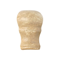 Saturnia Almond C-Cap