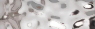 Sea Silver