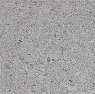 Sight Silver Lapp. Rett