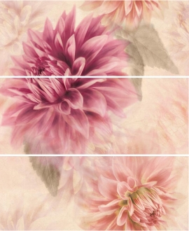Spirit Crema Set