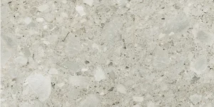 Керамогранит Cerim Timeless Ceppo Di Gre' Lucido Ret. 60x120 полированный