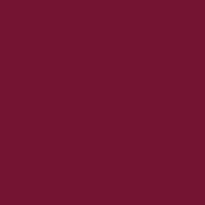 Керамогранит Petracers UB1 Bordeaux 20x20 матовый