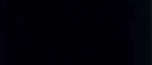 Плитка Cisa Ume Nero 32x75 матовая