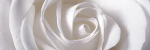Декоративный элемент Aparici Vergel Decor C 25,1x75,6 глянцевый