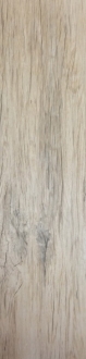 Xilema Larice