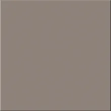 Taurus Color TAA26006