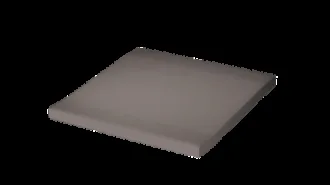 Taurus Color TTP12006